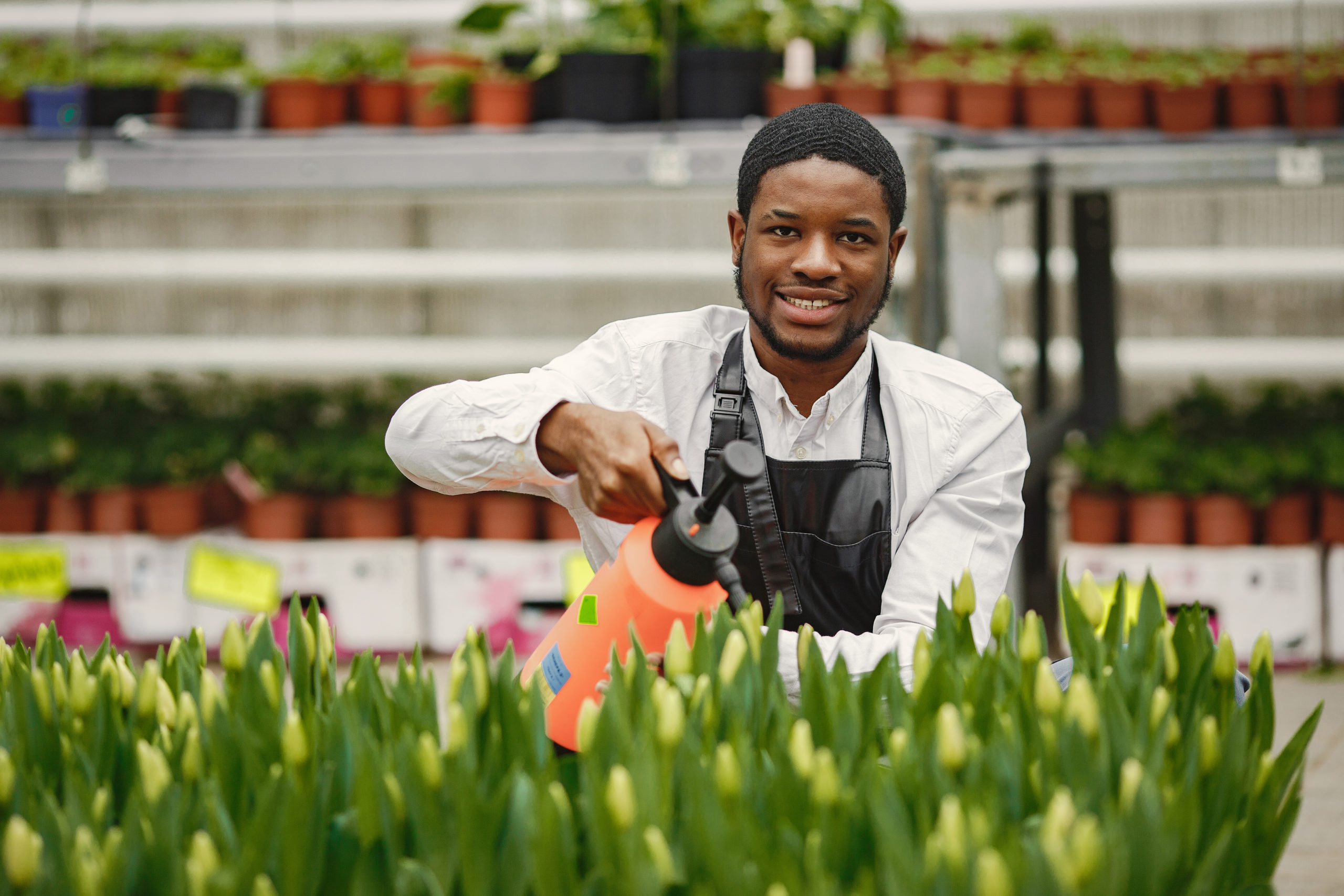 African gardener guy. Gardener with a watering can. Flower beds.